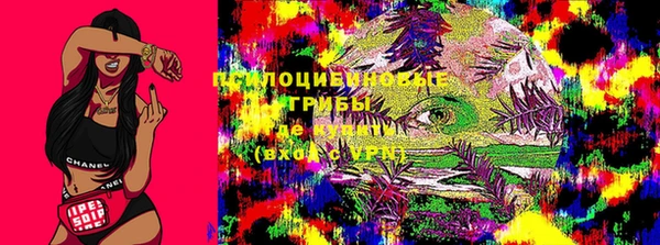 прущая мука Алзамай