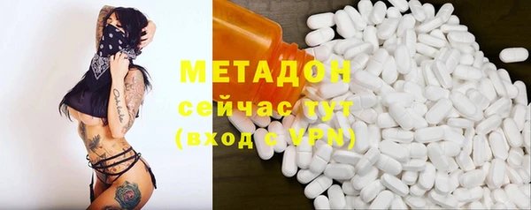 прущие грибы Алексеевка