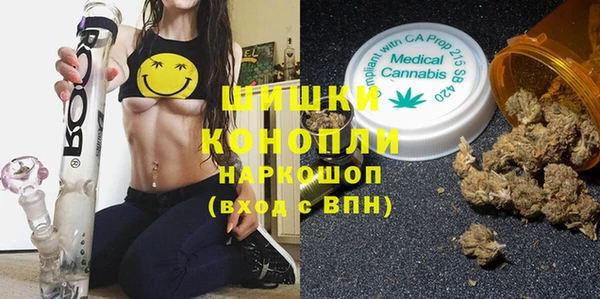 прущие грибы Алексеевка