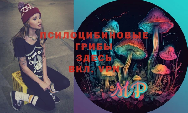 прущая мука Алзамай