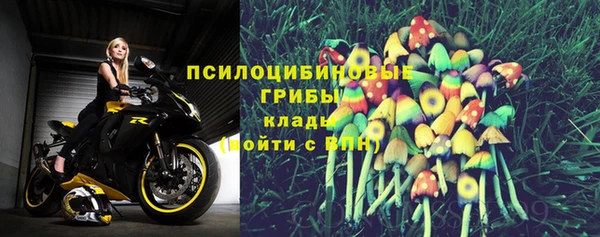 прущие грибы Алексеевка