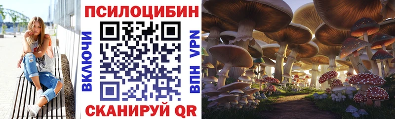 Галлюциногенные грибы мухоморы  Заозёрный 
